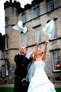 Wedding Day Doves 1081162 Image 0